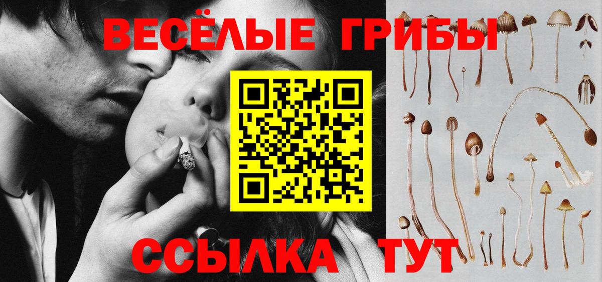 Псилоцибиновые грибы GOLDEN TEACHER Королёв