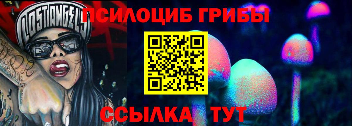 Галлюциногенные грибы прущие грибы  Вход с VPN  Галлюциногенные грибы Magic Shrooms  Королёв 